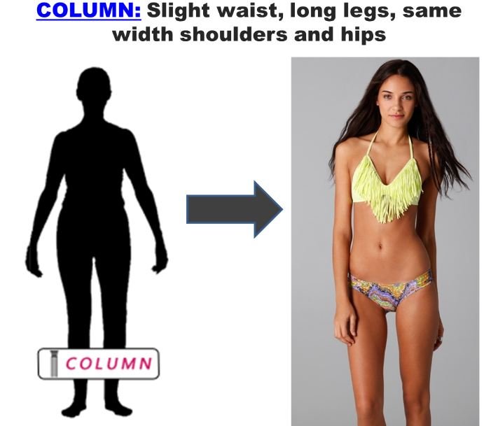 Column Body Shape