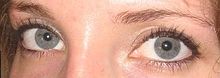 Grey Eyes - Dark, Green, Brown, Grey Blue Eyes, People and Eye Makeup for Gray Eye Color - True Gray Eyes