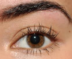 Thickening and Volume Mascara – Tips, Best Volumizing, L’Oreal Volumious and How to Apply