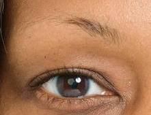 Very Sparse Eyebrows